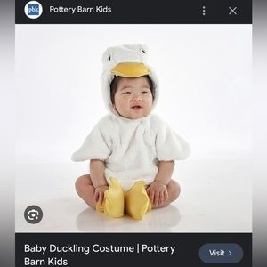 Pottery Barn Kids Baby Duckling Costume 0-6 Months